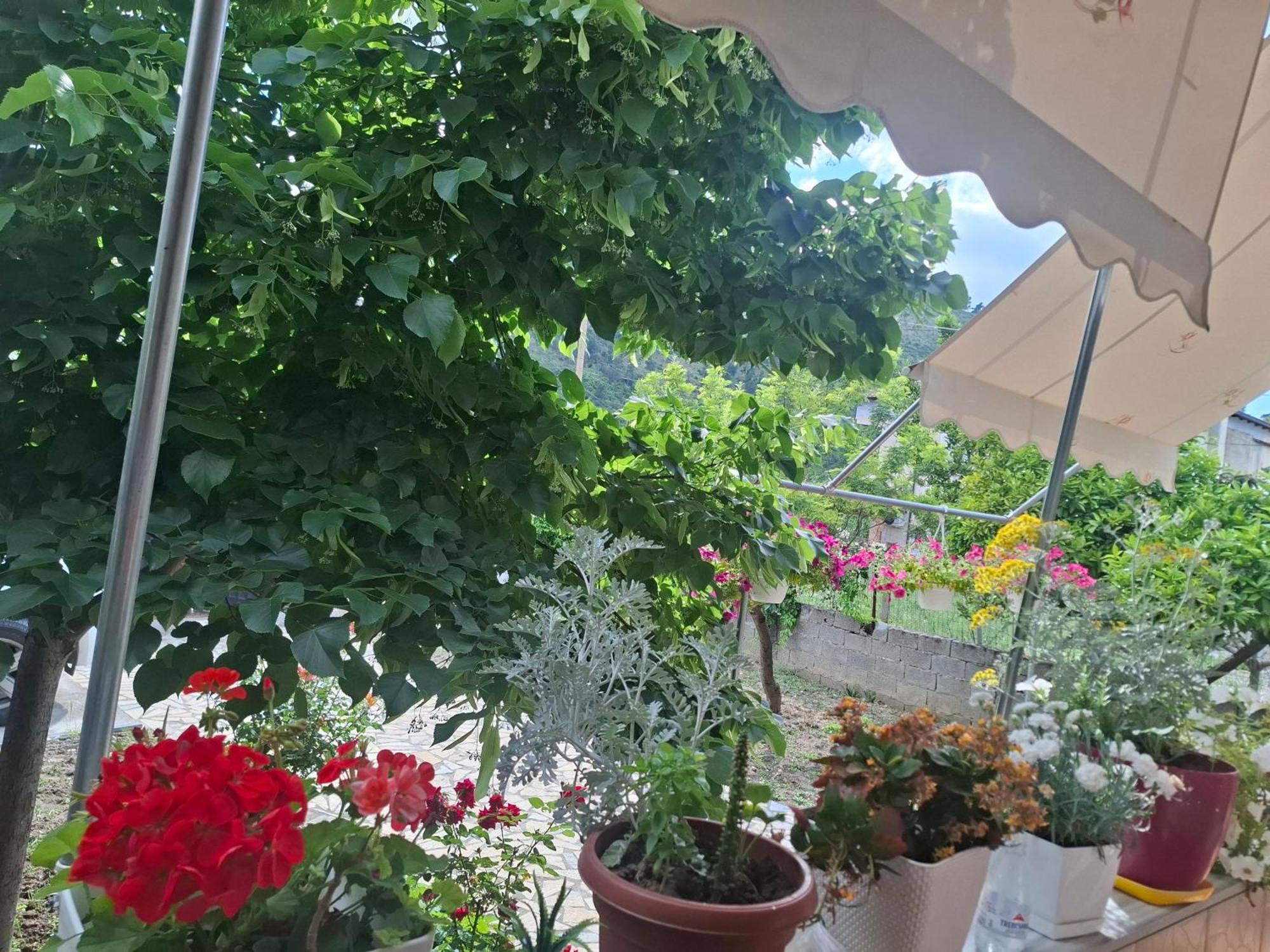 בראט Apartment Xheison מראה חיצוני תמונה